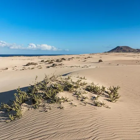 Home2book Blue Atlantic Design Apartment Corralejo
