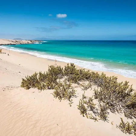 Apartment Home2book Blue Atlantic Design Corralejo